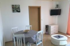 Appartamenti Bircic Appartamento 1 – Apart.-1 foto 1