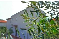 Appartamenti Danica Appartamento 2 – A2+2 foto 1