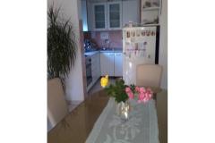 Appartamento Novi Bokanjac Appartamento 1 – APARTMAN foto 2