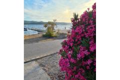 Appartamento Mare - prvi red uz more Appartamento 1 – Mare foto 3