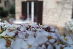 Appartamenti Tomislav Appartamento 1 foto 1