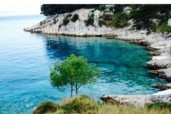Appartamenti Violeta Appartamento 1 – Marijan foto 1