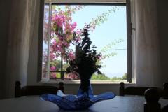 Villa Neda Appartamento 1 – Apartman 1 foto 2