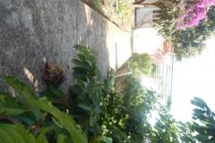 Appartamenti Diana Appartamento 1 – Apartman 1 foto 5