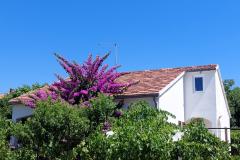 Case vacanza - Appartamento Milka Appartamento 1 – Kuća foto 2