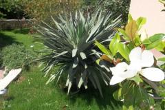 Appartamenti Kala Appartamento 3 – A3 foto 1