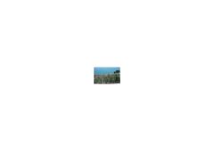 Appartamenti Baric1 Appartamento 2 – Maestral foto 3