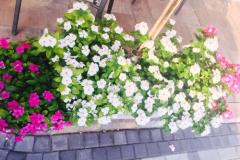 Appartamenti Vesna Appartamento 3 – A3 foto 4