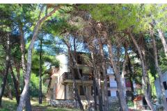 Appartamenti Floris Ivan Dolac Appartamento 3 – 9 guests foto 4