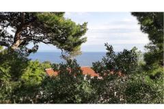 Tigrich apartmani Appartamento 4 – Weiller foto 2