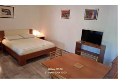 Villa Carevic Appartamento 2 – apartman2 foto 1