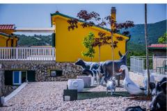 Luxury villa Cvita Appartamento 1 – VillaCvita foto 3