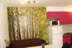 Apartaments Samanic Appartamento 2 – Apartman 4 foto 2