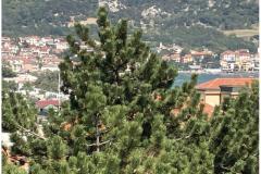 Appartamenti Maričić Appartamento 3 – Stella M 3 foto 5