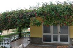 Appartamenti Milica Appartamento 1 – APARTMAN foto 4