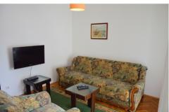 Appartamenti Petković Appartamento 2 – Apartman 2 foto 2