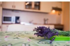 Appartamenti Polonijo Appartamento 1 – Apartman 1 foto 3