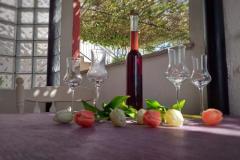Appartamenti Tavčar Appartamento 2 – AP2 foto 5