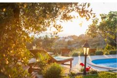 Rustic Oliveto Appartamento 1 – Rustic foto 2