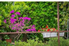 Appartamenti Daniela Makarska Appartamento 1 – Apartman 1 foto 3