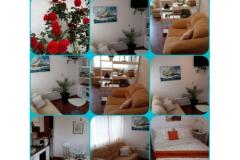 Villa Appartamenti Sumić Appartamento 1 – GREEN OASE foto 4