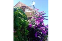 Casa Marino Appartamento 1 – marino foto 2