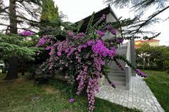 Flowers Appartamento Medulin, Fucane 2 Appartamento 1 – Bugenvilia foto 2