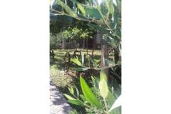 Appartamenti Vera Appartamento 2 – apartman foto 4