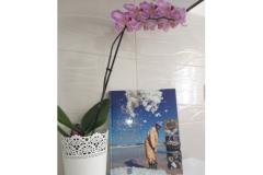 Appartamenti Mirjana Appartamento 1 – I . kat foto 2