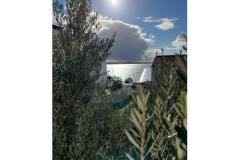 Appartamenti Renata Appartamento 1 – Apartman-1 foto 3
