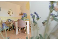 Appartamento Bonzo Novalja Appartamento 1 – BONZO foto 4
