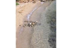 Appartamenti Kaštel Appartamento 1 – Tip 2 foto 3