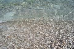 Appartamenti Mikulj Appartamento 3 – App4 foto 5