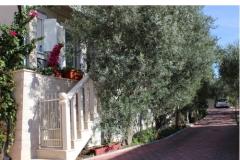 Appartamenti Erceg Appartamento 2 – Apartman 1 foto 2
