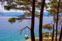 Appartamenti Višnja Appartamento 1 – A1 foto 4