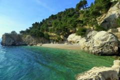 Appartamento Bellevue Appartamento 1 – Bellevue foto 4