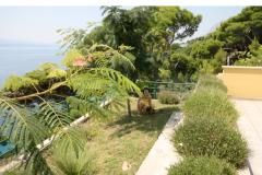Villa Mandolina Appartamento 1 – Ap. A (EG) foto 4