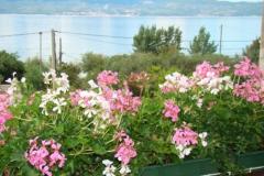Villa Sunce Appartamento 4 – studio 2+2 foto 2