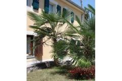 Apartmeni Gobac Appartamento 3 – MALI foto 1
