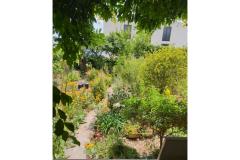 Appartamenti Marijela Appartamento 2 – A 2. foto 3