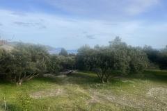 Sun Vila Appartamento 4 – Kuća foto 1
