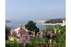 Appartamenti Zeljka Appartamento 1 – A foto 4