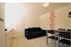 Appartamenti Petrović Appartamento 2 – Apartman 3 foto 1