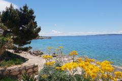 Stargo Appartamenti Appartamento 2 – Blue foto 1