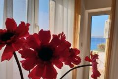 Stargo Appartamenti Appartamento 2 – Blue foto 2