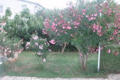 Villa Mirta Appartamento 1 foto 3