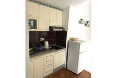 Appartamenti Andrejka Appartamento 1 – A2+1 foto 3
