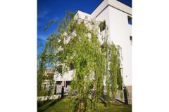 Appartamenti Dalmacija Appartamento 2 – apartman 2 foto 1