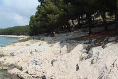 Appartamenti Varga Appartamento 3 – AP4 foto 3