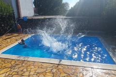 Appartamenti Rosan Pakostane Appartamento 3 – Tramuntana foto 2